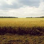 Ephraim Ortiz Profile Picture