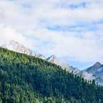 Zoila Fahey Profile Picture