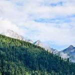 Zoila Fahey Profile Picture