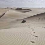 Brandy Roberts Profile Picture