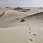 Brandy Roberts Profile Picture