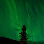 Winifred Ferry Profile Picture