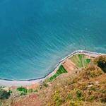 Chanelle Tremblay Profile Picture