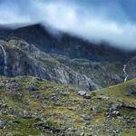 Daisha Fisher Profile Picture