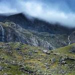 Daisha Fisher Profile Picture