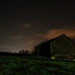 Holly Hartmann Profile Picture