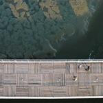 Antone Botsford Profile Picture