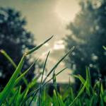 Jammie Moore Profile Picture