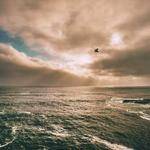 Bart Christiansen Profile Picture