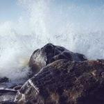 Pearl Daniel Profile Picture