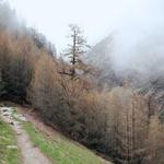 Hattie Pollich Profile Picture