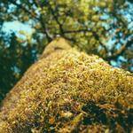 Billie Daugherty Profile Picture