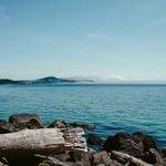 Elton Schuppe Profile Picture