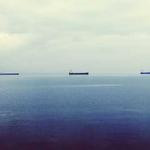 Eloisa Nitzsche Profile Picture