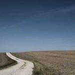 Chesley Ebert Profile Picture