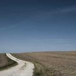 Chesley Ebert Profile Picture