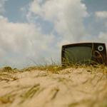 Angelita Donnelly Profile Picture