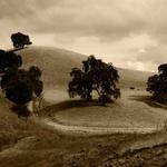 Evans Gerlach Profile Picture