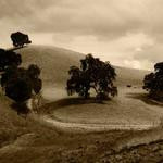 Evans Gerlach Profile Picture