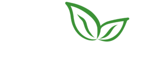 Uses, Benefits, Types, Buying Tips and Storage Guide