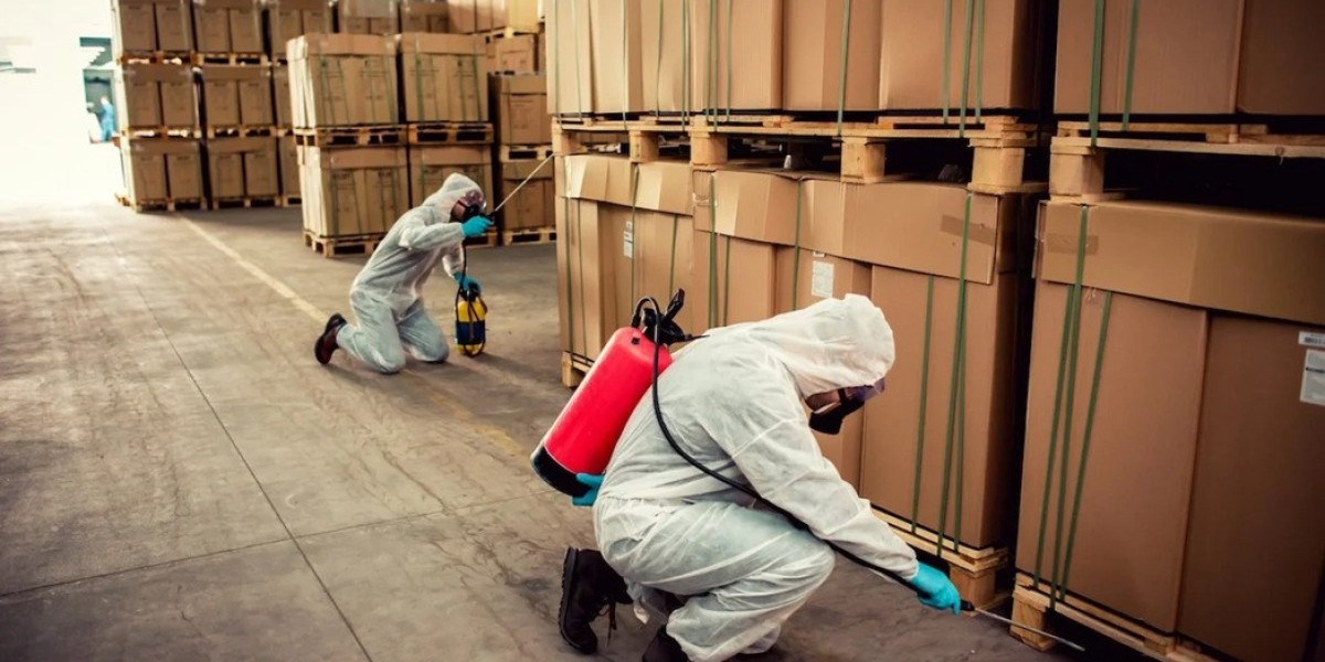 Reliable Pest Control Services in Wishart: Protecting Your Home and Business Year-Round